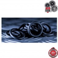 O-ring Per Testa Pistone Twister Ats (ats-or-tw) O-ring Per Testa Pistone Twister Ats (ats-or-tw)