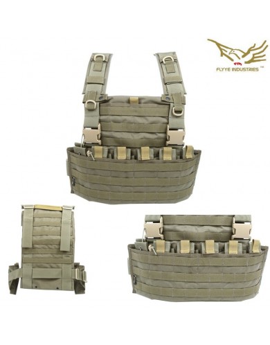 Chest Rig Wsh Molle Olive Drab Flyye Industries (fy-vt-c003-od) - Softair  Games - ASG Softair San Marino