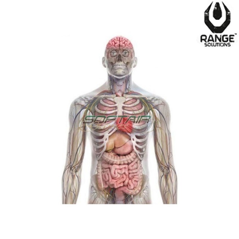 Pratice Target Rs-pegi-18 Type 2 Range Solutions (ran-021475)