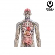 Bersaglio Di Pratica Rs-pegi-18 Type 2 Range Solutions (ran-021475)