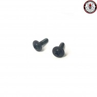 Set 2 viti impugnatura motore g&g (gg-90)