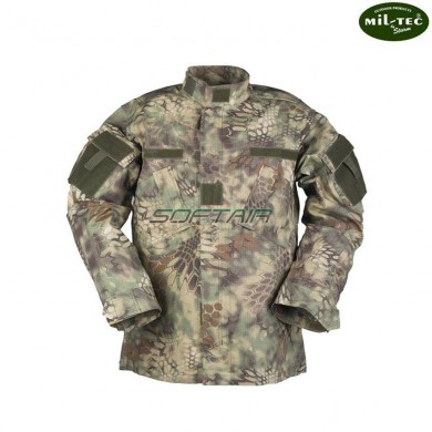 Jacket combat MANDRAKE Mil-tec (11942183)